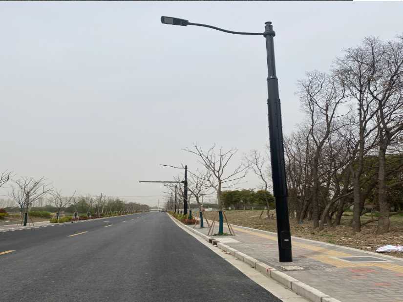 巧家县上海综合杆 太阳能路灯工程